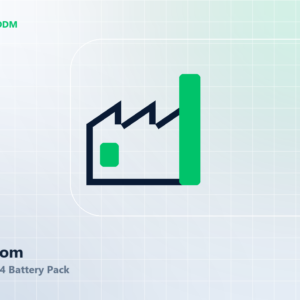 Custom LiFePO4 Battery Pack - OEM / ODM